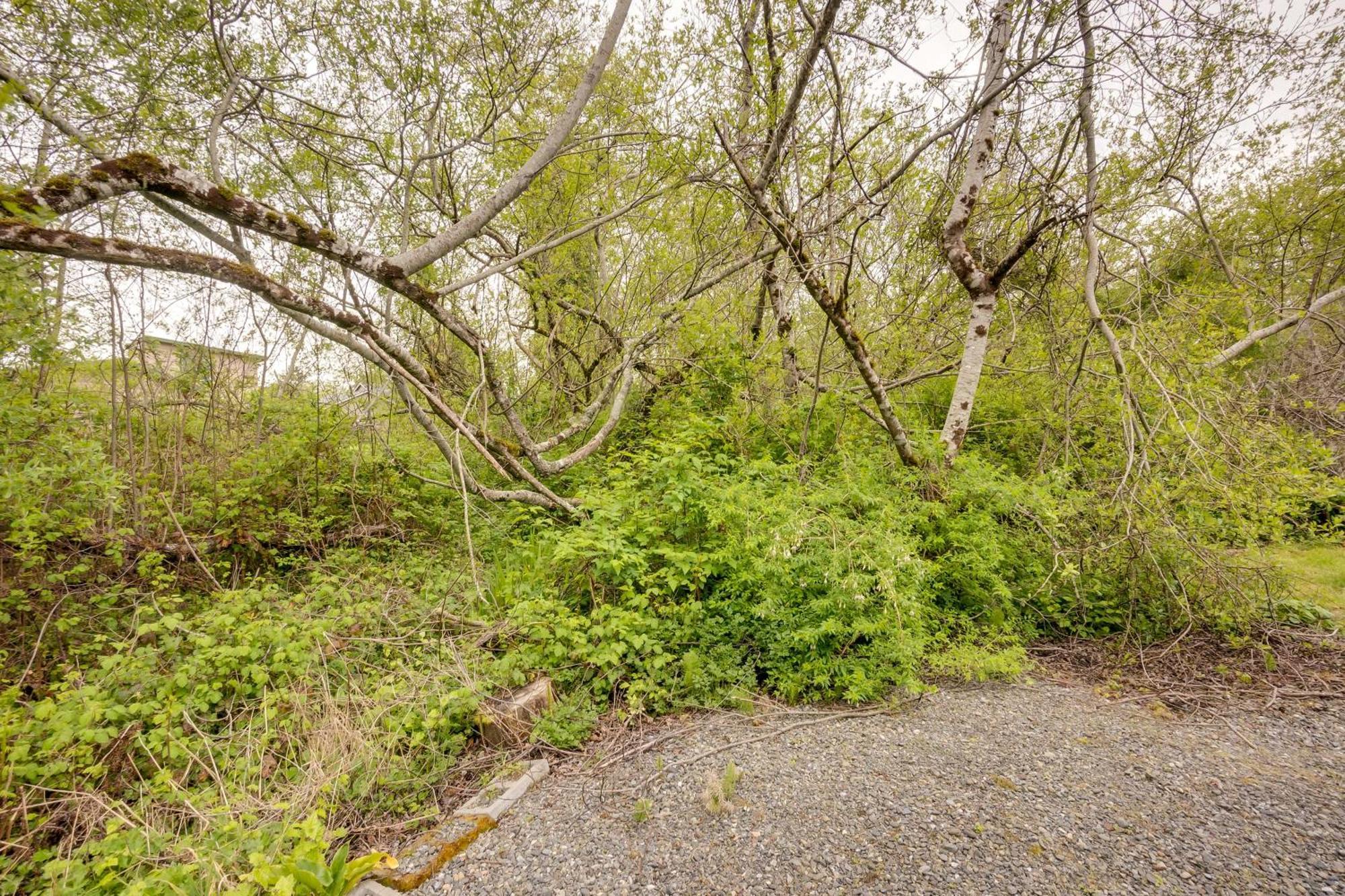 Soothing Studio With Lush Views 2 Mi To Beach! Smith River Extérieur photo